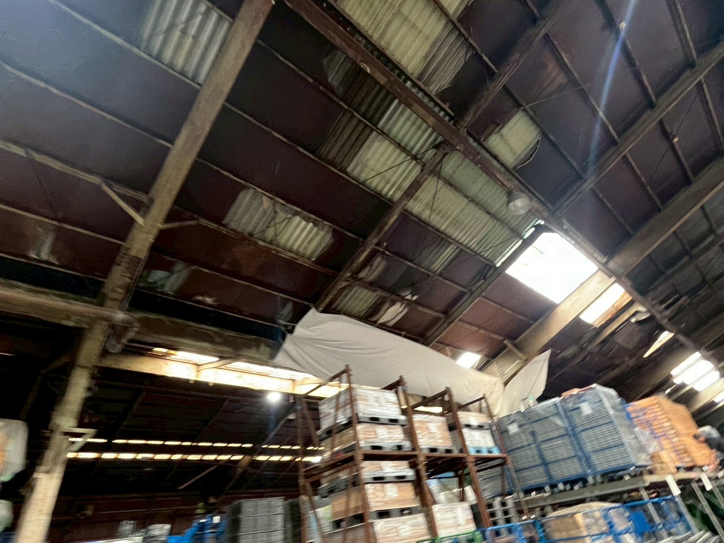 天井が剥がれて波型スレートが見えている